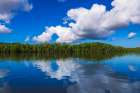 Mangroves along the Sierpe River, Terraba Sierpe National Wetlands, Puntarenas Province, Costa Rica Art Print